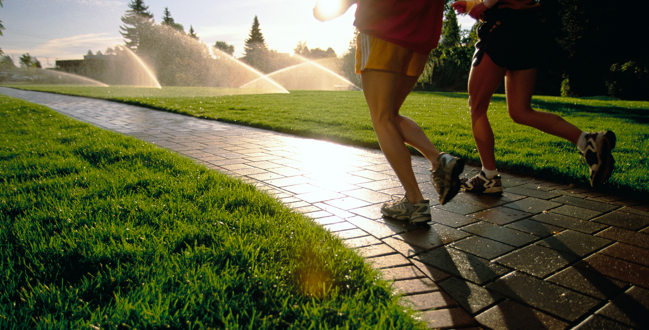 Grass, Morning, Human leg, Leg, Sunlight, Shadow, Footwear, Jogging, Recreation, Running, 