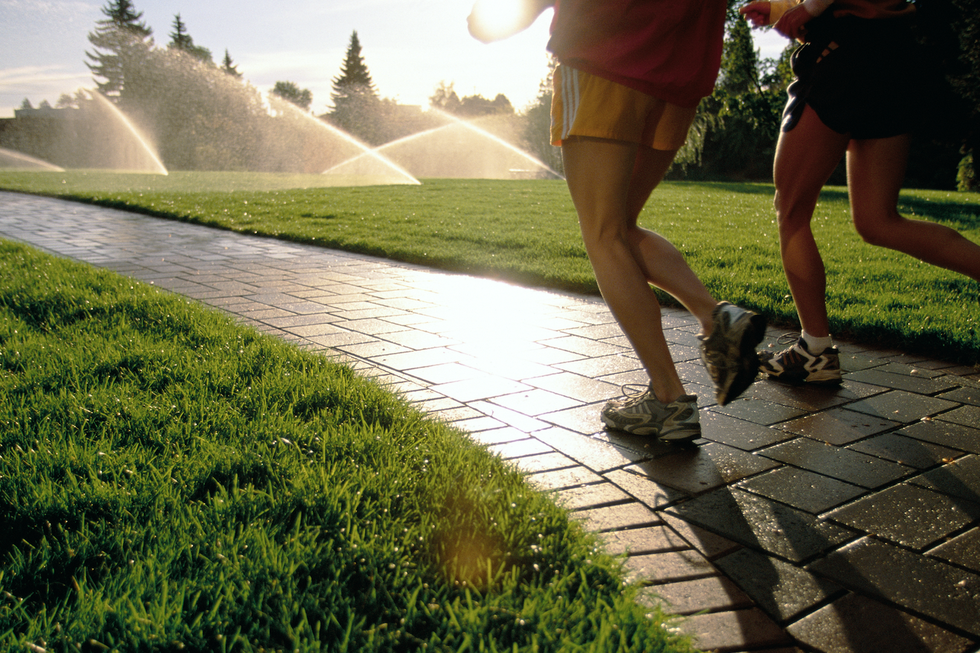 Grass, Morning, Human leg, Leg, Sunlight, Shadow, Footwear, Jogging, Recreation, Running, 