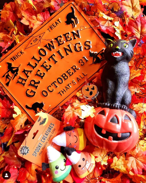 Michaels launches Halloween product collections