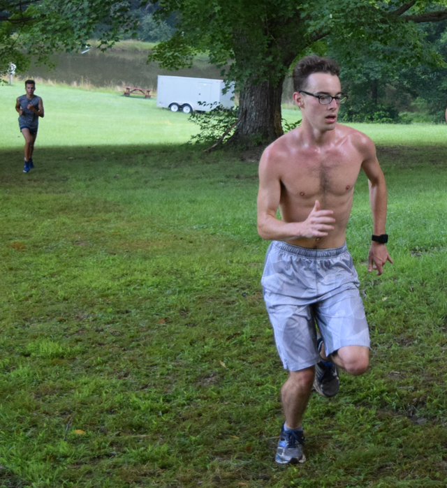 Barechested, Running, Jogging, Grass, Recreation, Exercise, Muscle, Summer, Tree, Leisure, 