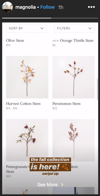 Text, Botany, Plant, Font, Logo, Wildflower, Graphics, 
