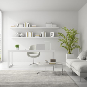 White, Furniture, Room, Shelf, Interior design, Living room, Floor, Wall, Property, Shelving, 