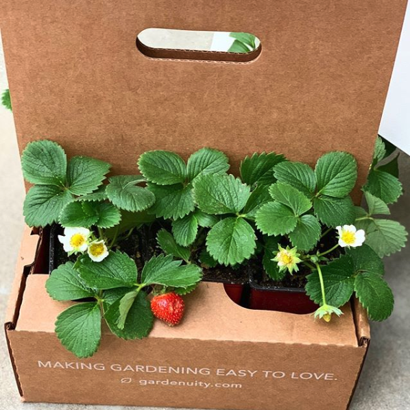 gardenuity custom gardening kits