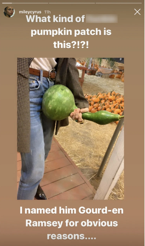 Natural foods, Whole food, Local food, Superfood, Adaptation, Vegan nutrition, Vegetable, Food group, Plant, Food, 