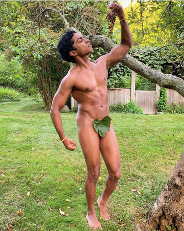 Barechested, Muscle, Briefs, Chest, Adventure, Bodybuilder, Undergarment, 