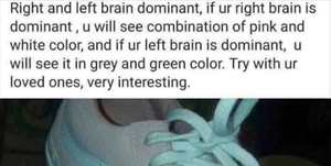 what color is the shoe