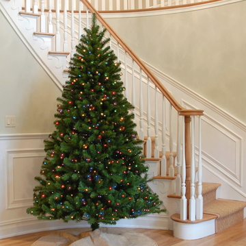 Christmas tree, Christmas decoration, Tree, oregon pine, Colorado spruce, Christmas ornament, Christmas, Home, Evergreen, Woody plant, 