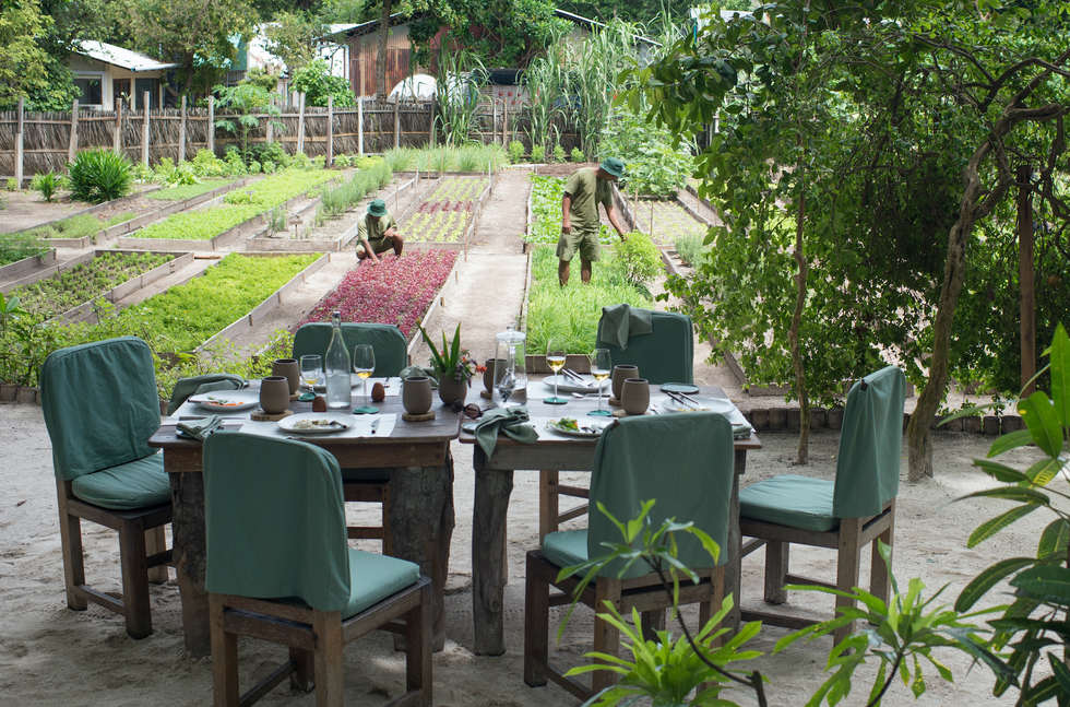 Property, Backyard, Patio, Outdoor table, Furniture, Landscaping, Chair, Yard, Table, Restaurant, 