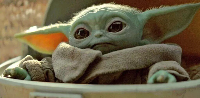 Yoda, Snout, Fictional character, 