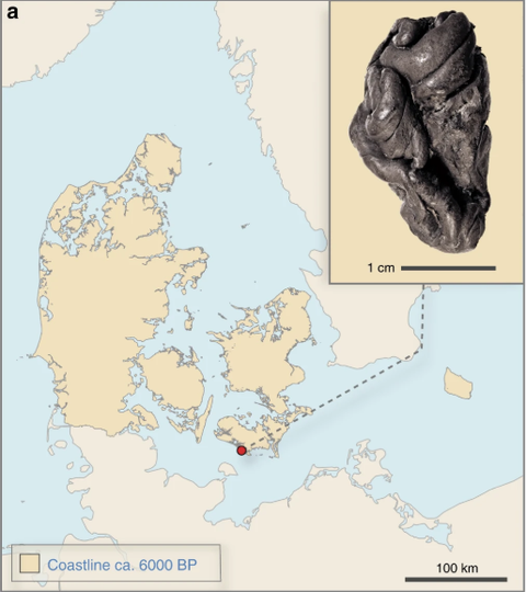 Map, Ecoregion, Atlas, World, Rock, 