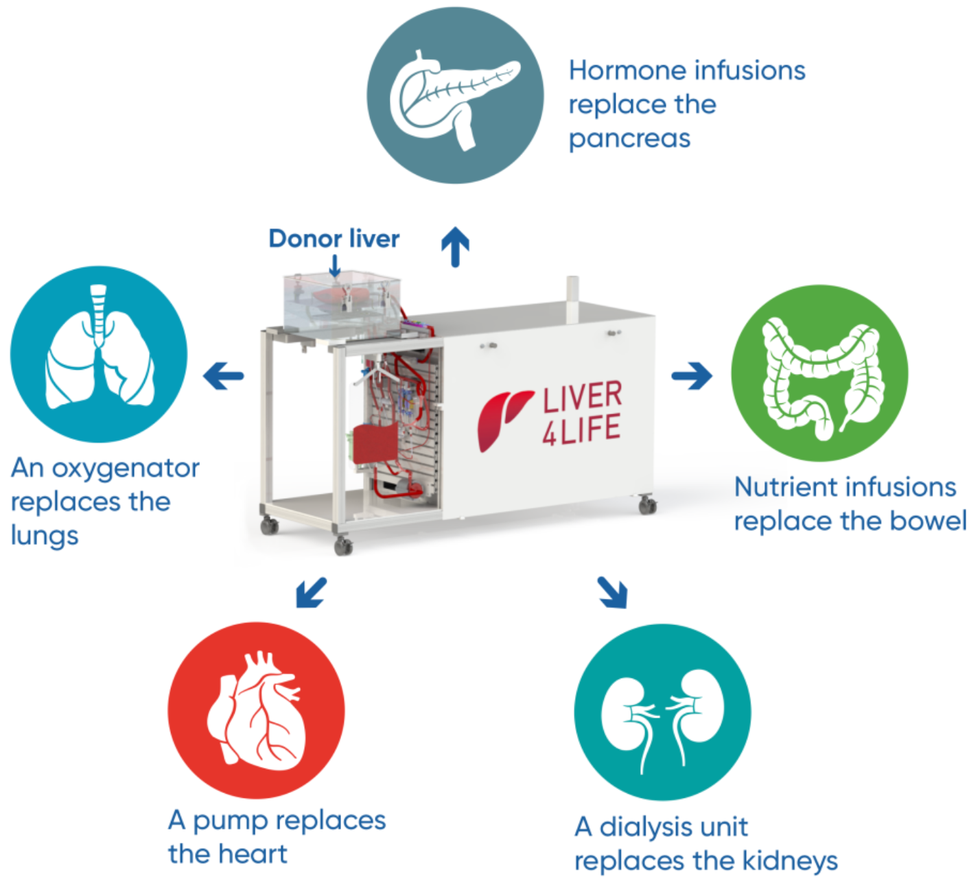 Liver Transplant Perfusion Machine Organ Transplants 7528