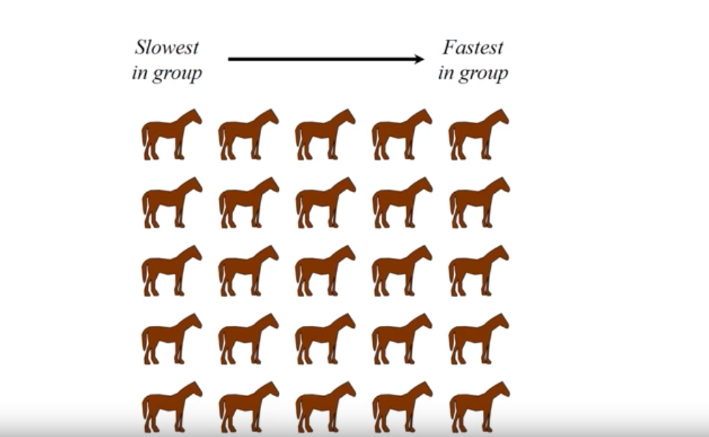 google-is-rumored-to-ask-applicants-to-solve-this-25-horses-puzzle