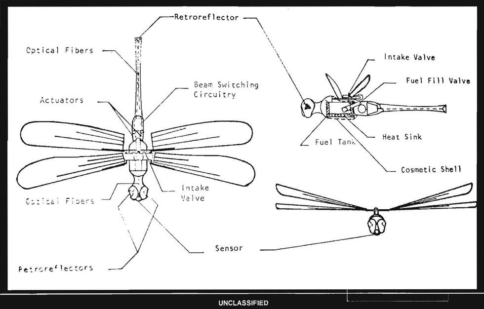 Text, Line, Line art, Diagram, Organism, Parallel, Black-and-white, Symmetry, Wing, Illustration, 