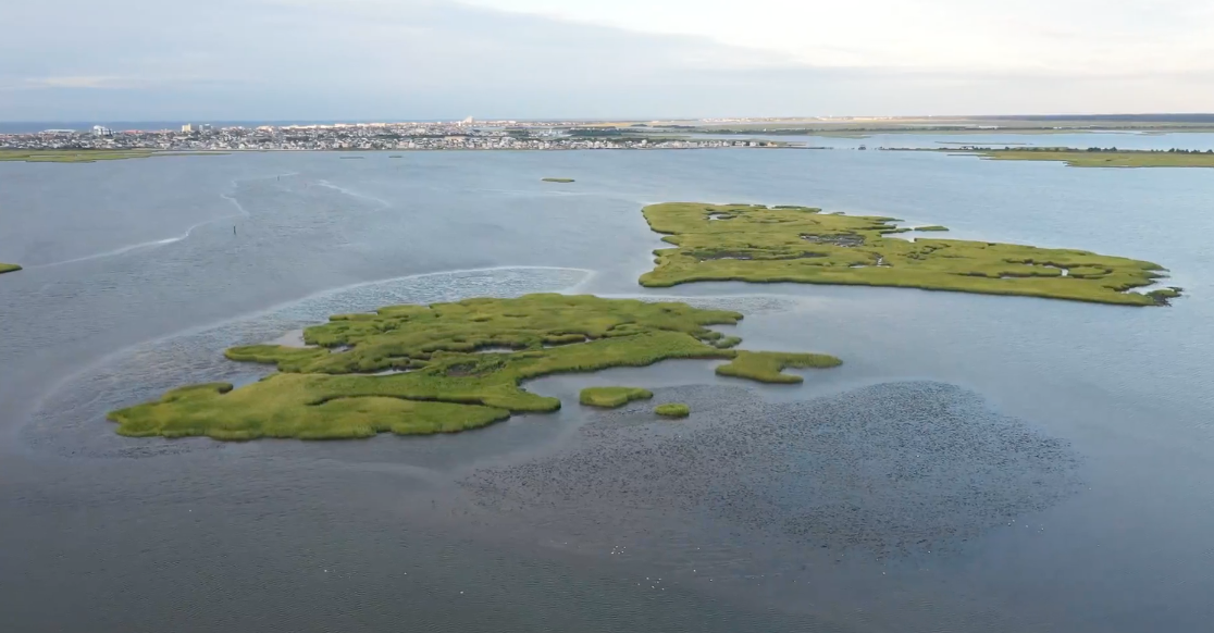 You Can Buy a Private Island off the Jersey Shore for Just $200,000 ...