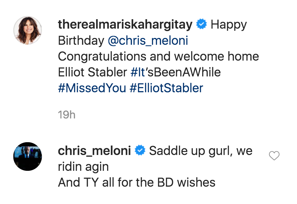 'Law and Order: SVU' Fans React After Christopher Meloni Comments on Mariska Hargitay's Instagram