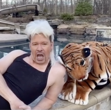 Donnie Wahlberg Posted a TikTok of Him as Joe Exotic