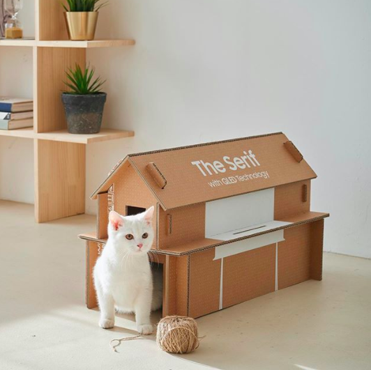 Cat, Cardboard, Box, Cat furniture, Felidae, Furniture, Small to medium-sized cats, Carton, Room, Table, 