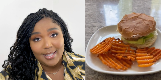 lizzo mcchicken tiktok hack