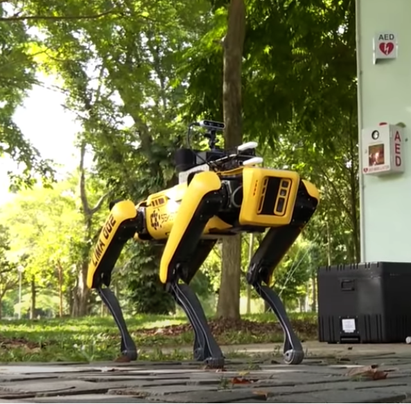 spot, the robotic dog, walking through a park in singapore