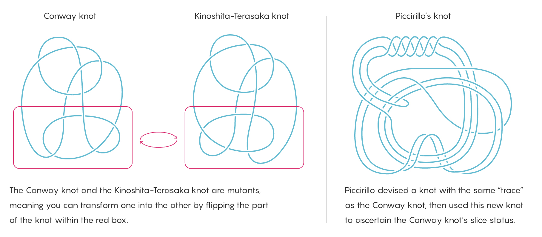 Knot Theory - Conway Knot Problem Solved