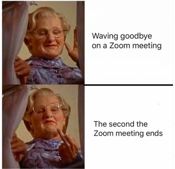 zoom party   video call