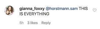 fan comment on patrick dempsey's instagram