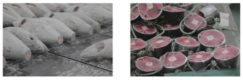 cross sections of tuna tails that were used as ai training data