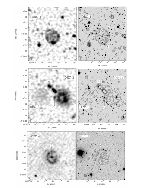 two views of the newly discovered orcs from the ﻿evolutionary map of the universe pilot survey on the left, a series of greyscale image of the objects on the right, radio telescope observations have been overlaid atop optical observations