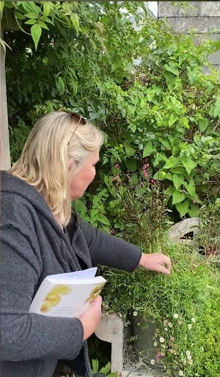 fern britton garden tour
