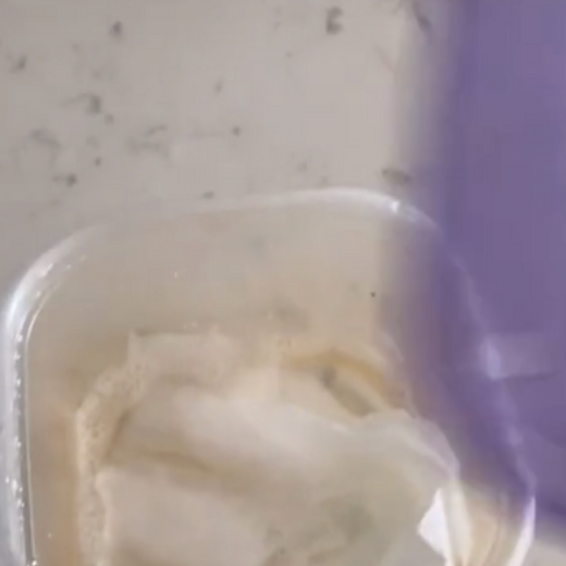 I Tried a TikTok Paper Towel Hack to Clean My Stained Plastic