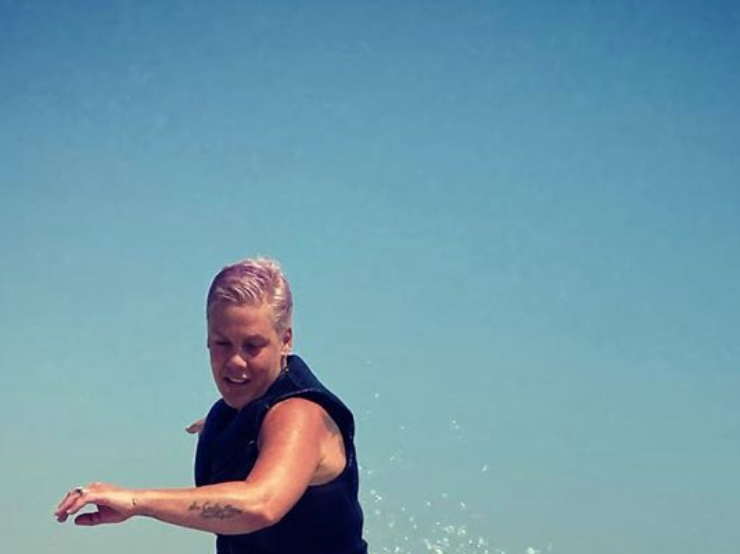 Pink's IG Picture is Not Body Positive