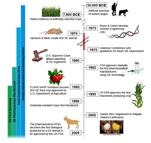 a history of genetic engineering illustrated in a timeline