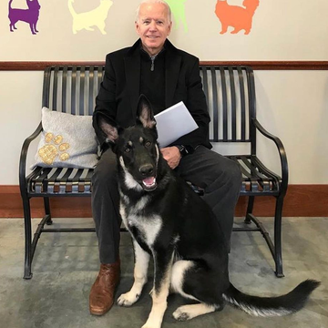 first dogs first dogs