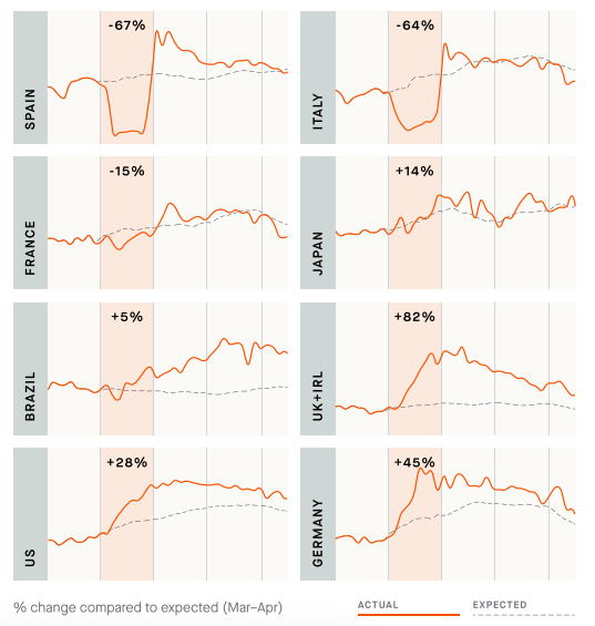 strava year in sport