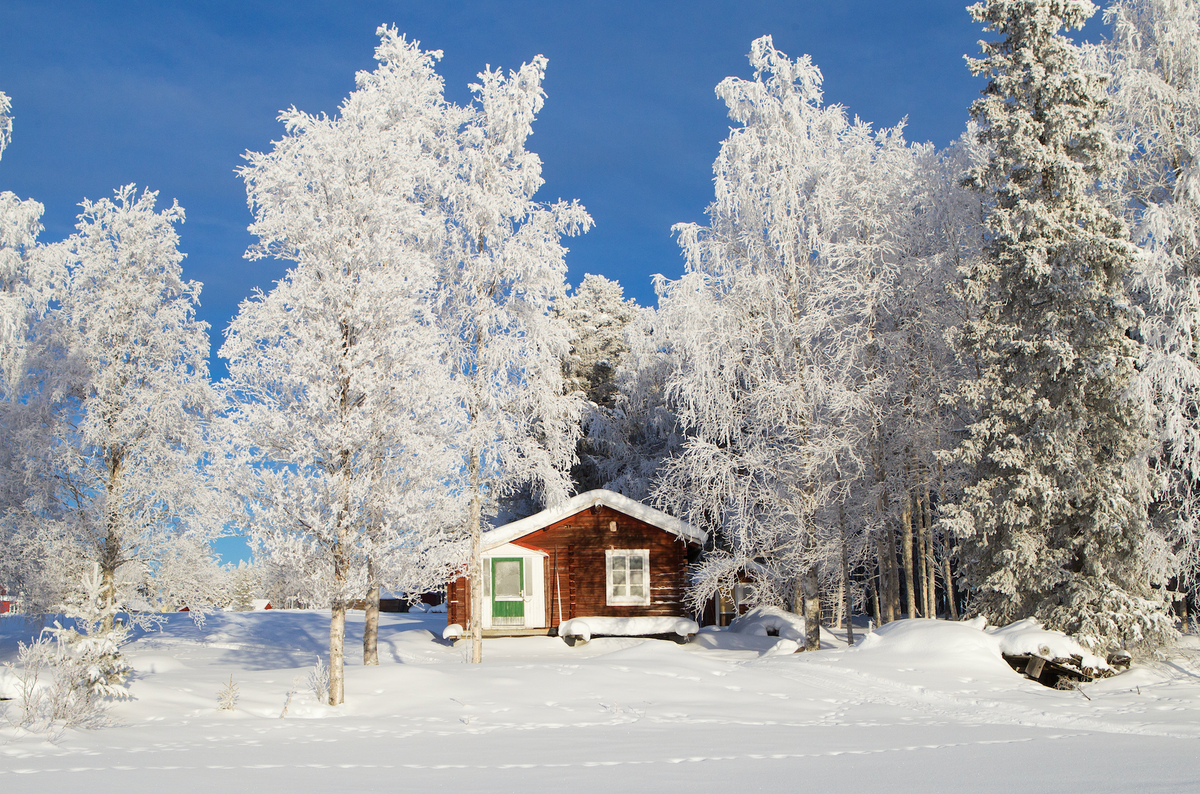 It's A White Christmas For Some In Northeast, Midwest 