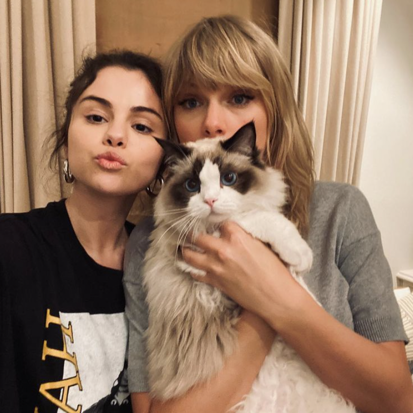 818px x 818px - Selena Gomez and Taylor Swift's Complete Friendship Timeline