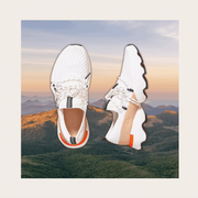 This is an image anthropologie