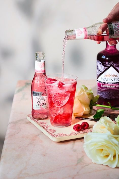 24 gin cocktail recipes you need in your life
