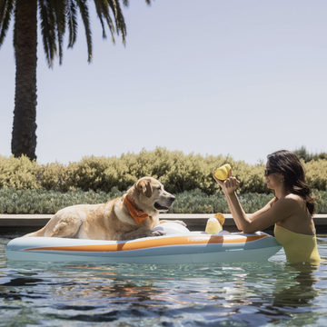 dog pool yacht float