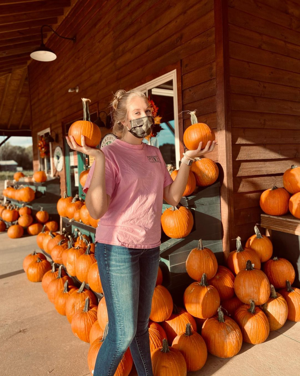 best pumkin farms