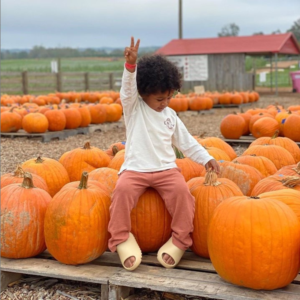 best pumpkin farms