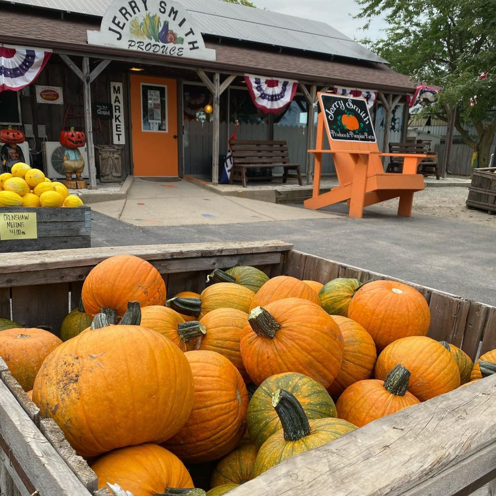 Best Pumpkin Farms Near Me — Top Pumpkin Farms Near Me To Visit In 