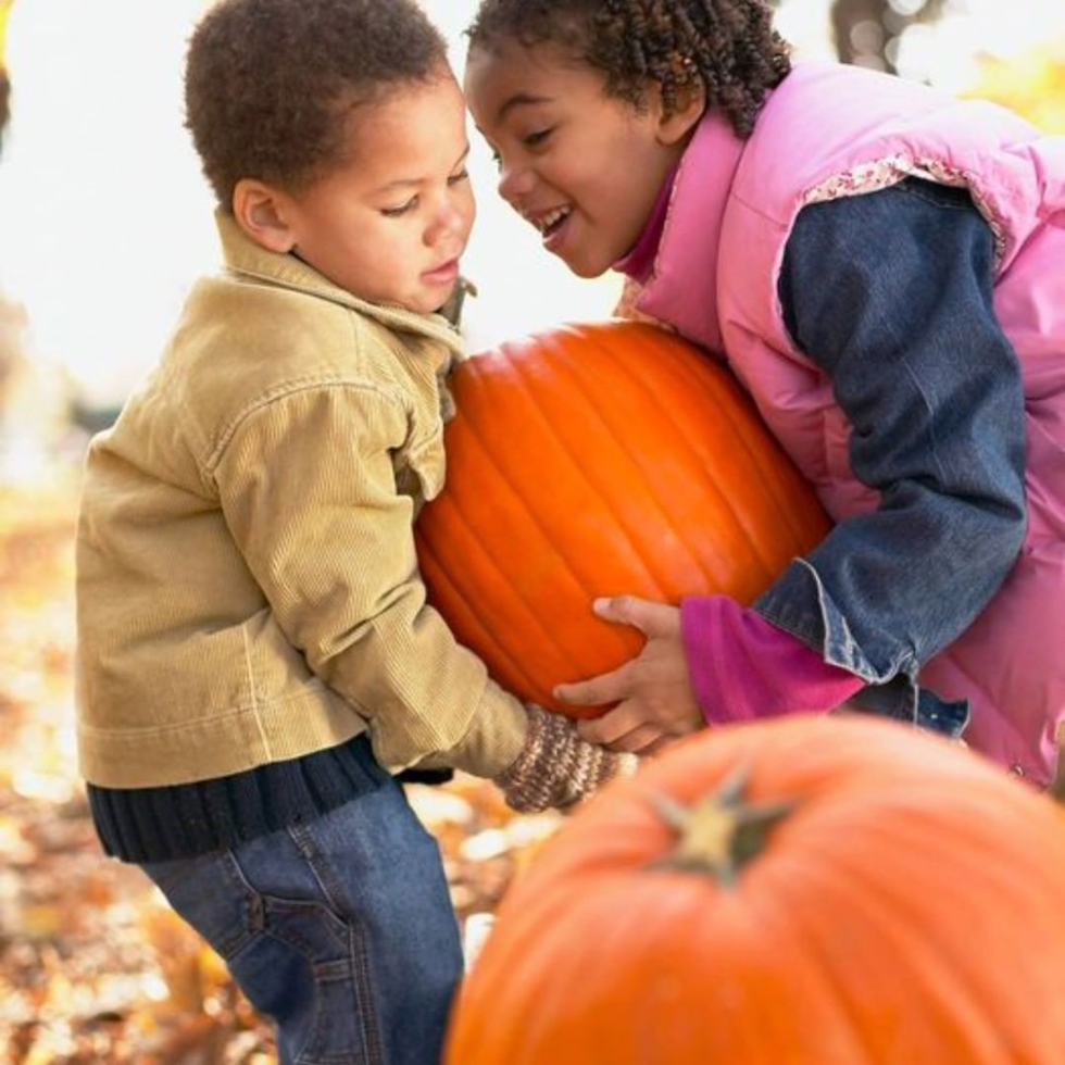 best pumpkin farms
