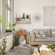 living room with lots of plants living room with lots of plants