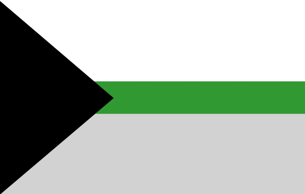 demiromantic flag