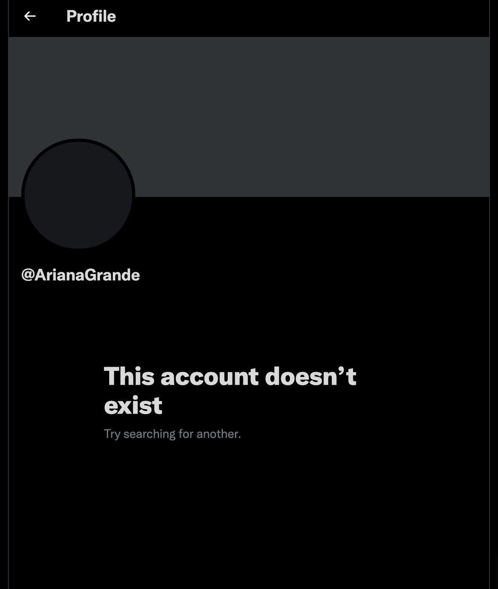 Ariana Grande Deleted Twitter and Fans Are Very Concerned
