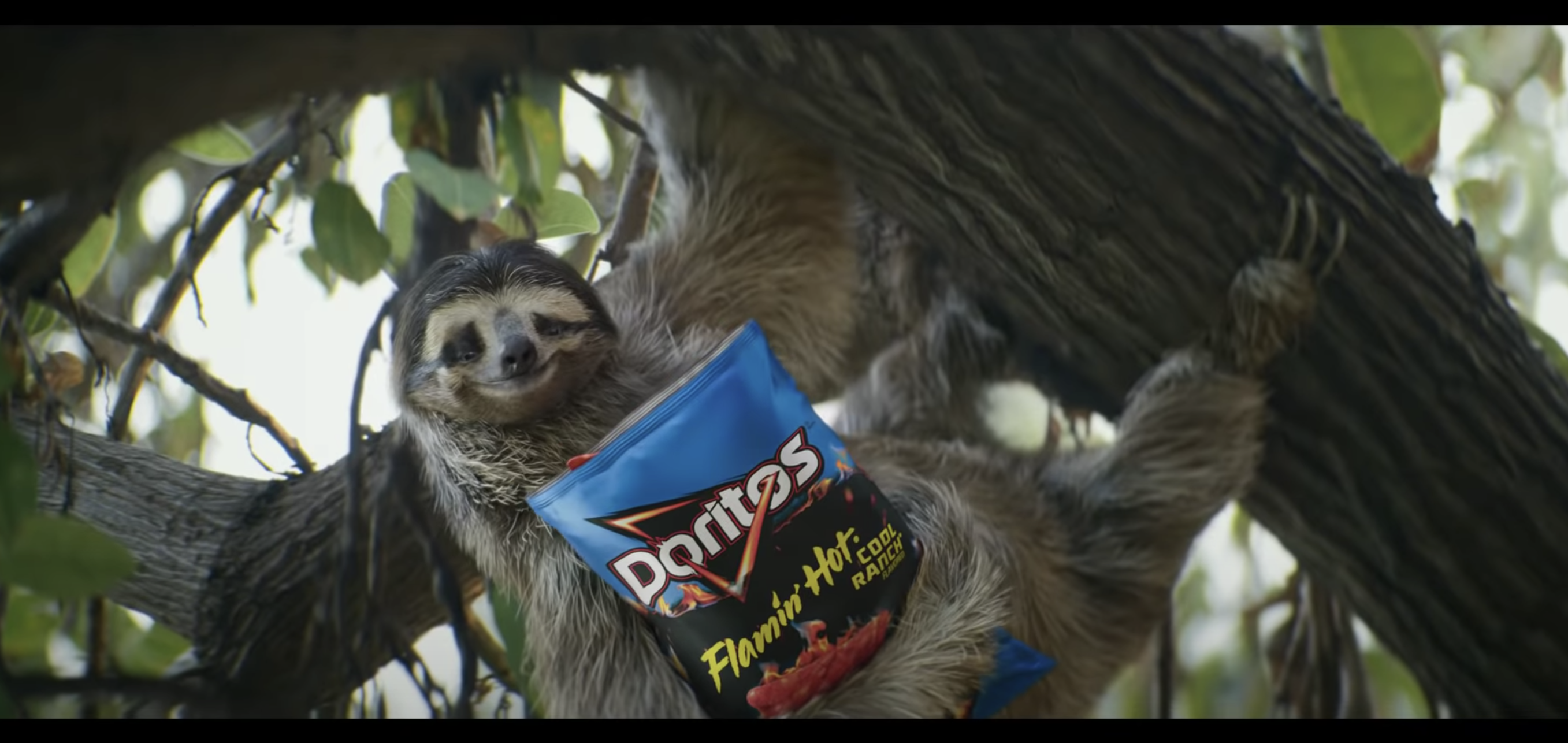 Top 5 Super Bowl 2022 Commercials You Might Have Missed! 