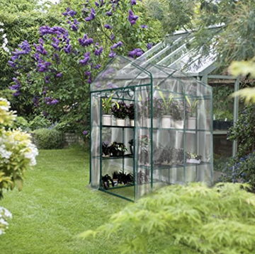 amazon greenhouse in garden