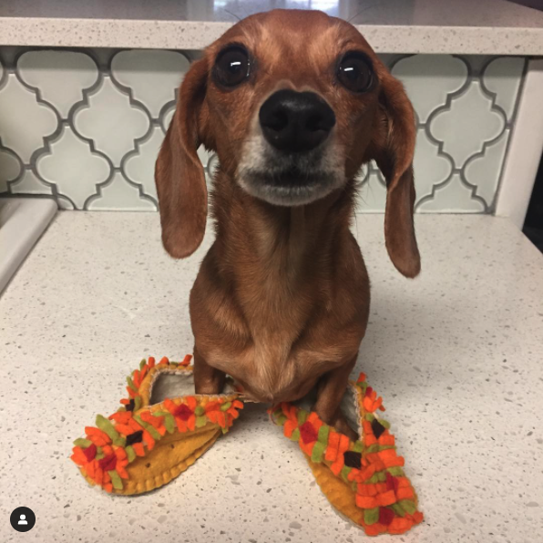 Baby taco clearance booties