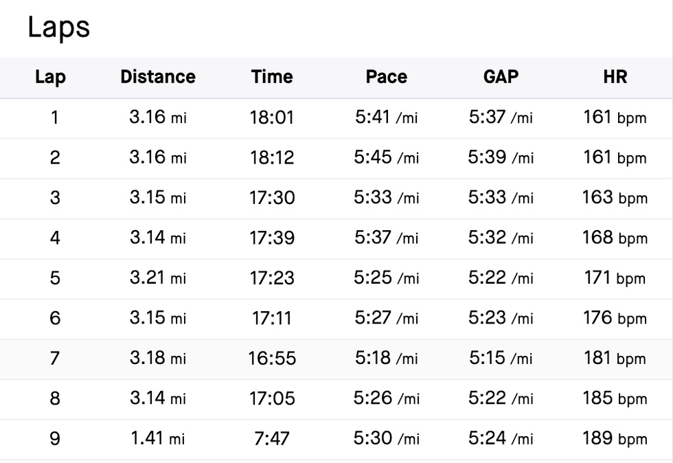 seidel strava